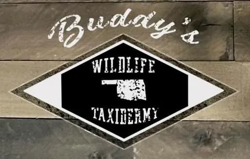 Buddy's Wildlife Taxidermy logo