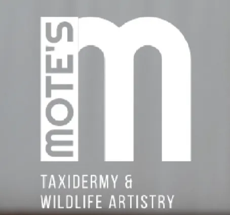 Mote's Taxidermy and Wildlife Artistry logo