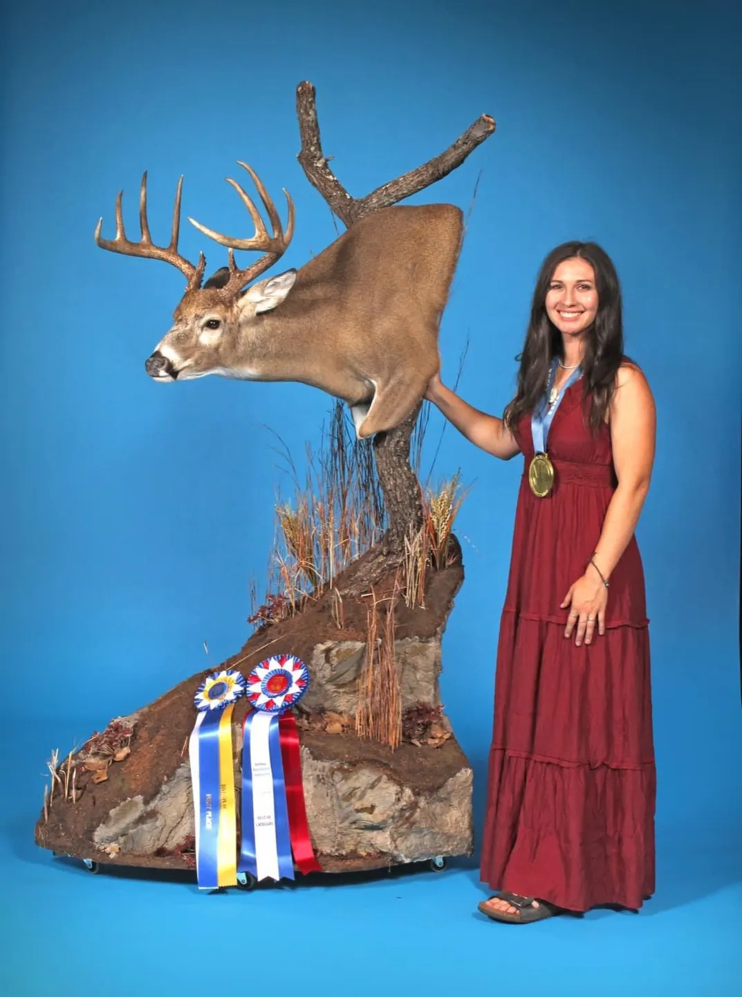 Ashley Eve Wildlife Taxidermy business background image