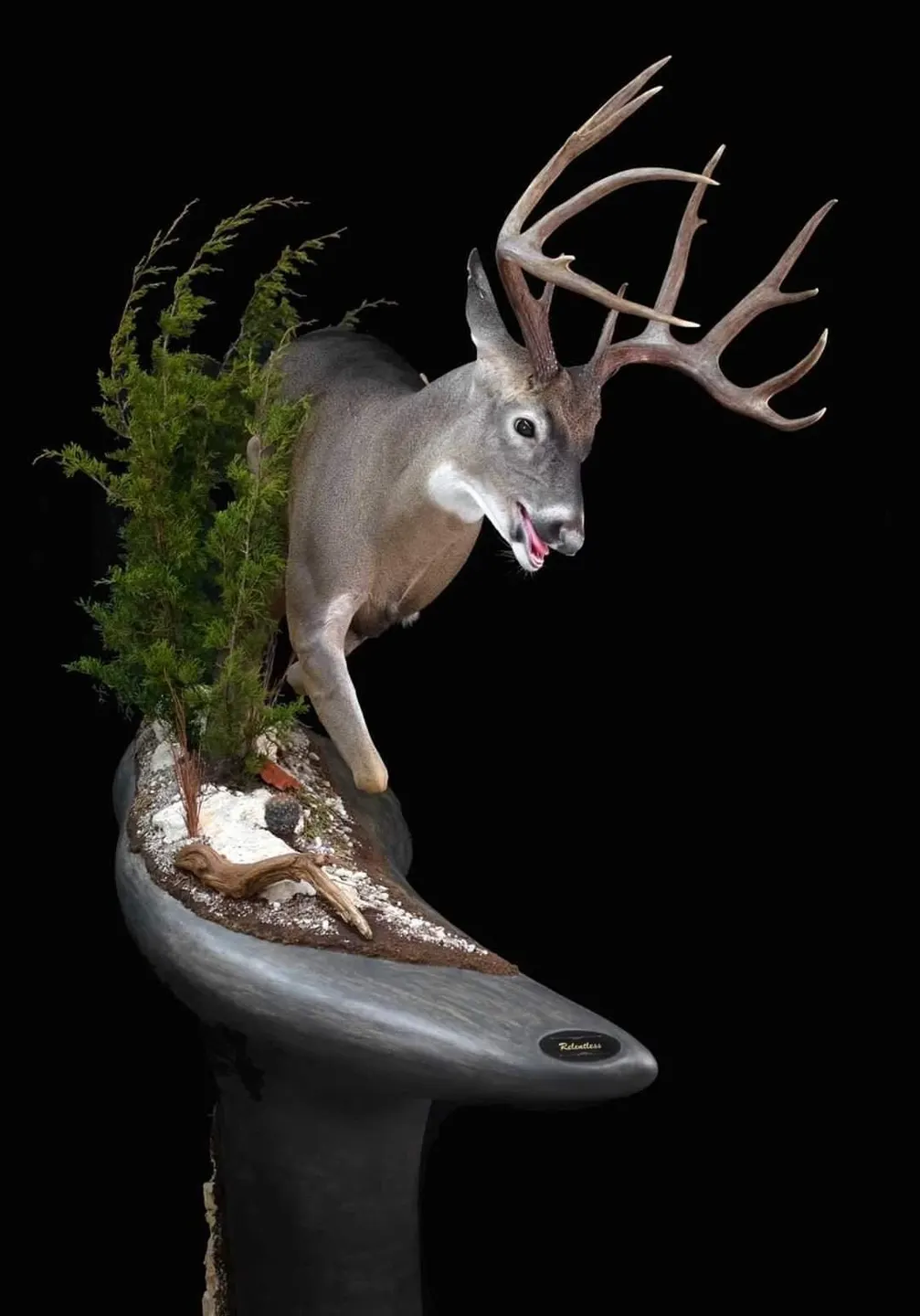 Mote's Taxidermy and Wildlife Artistry business background image
